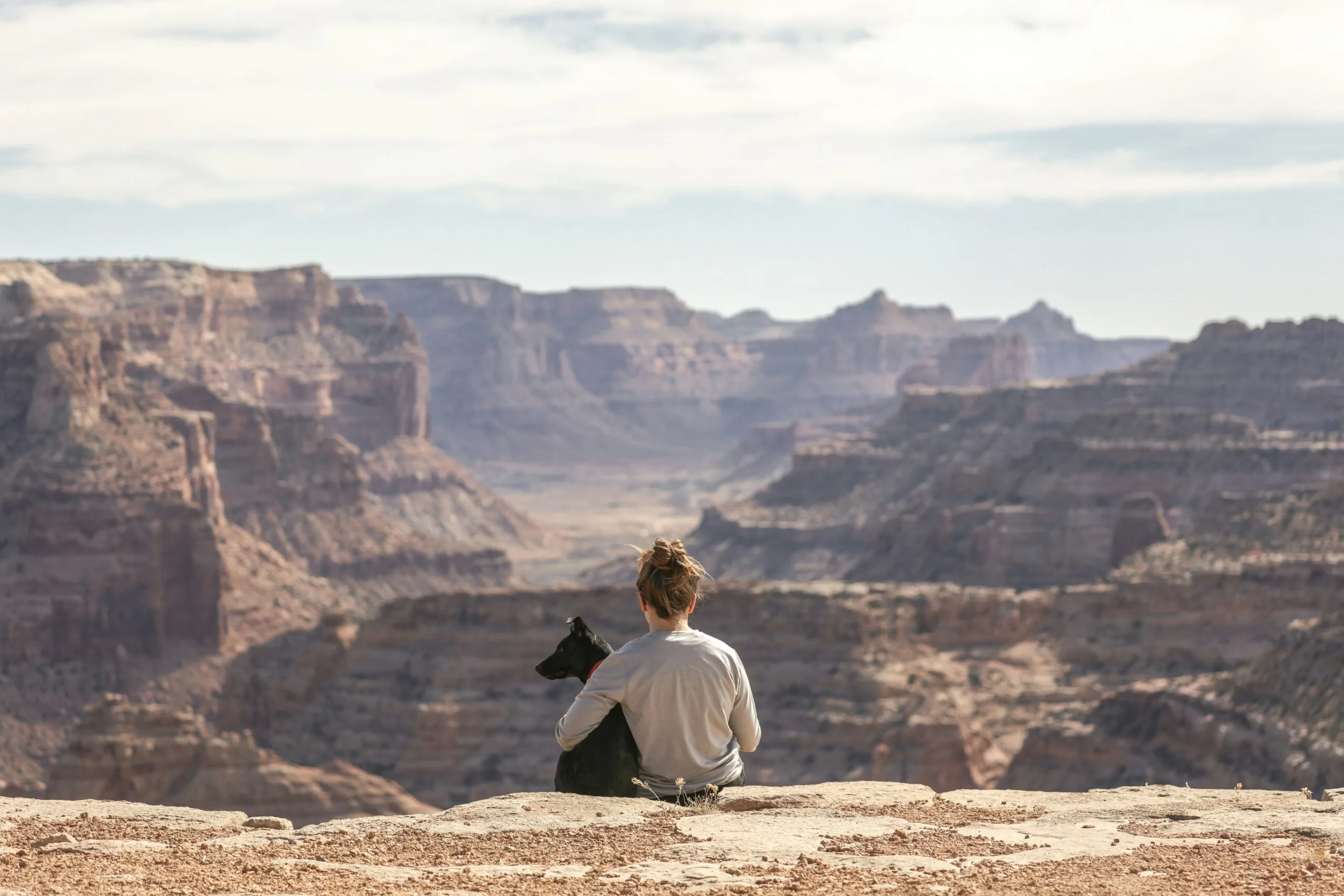 Pet Travel Accessories: Reviews and Recommendations for Smooth and Safe Journeys with Your Furry Friends